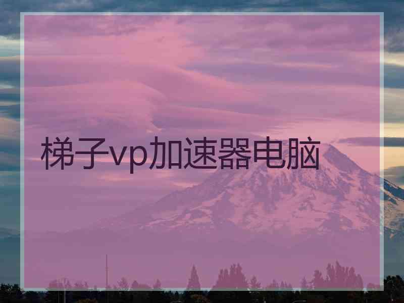 梯子vp加速器电脑
