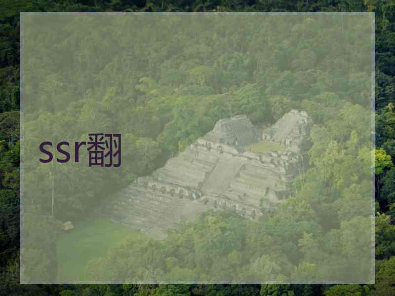 ssr翻