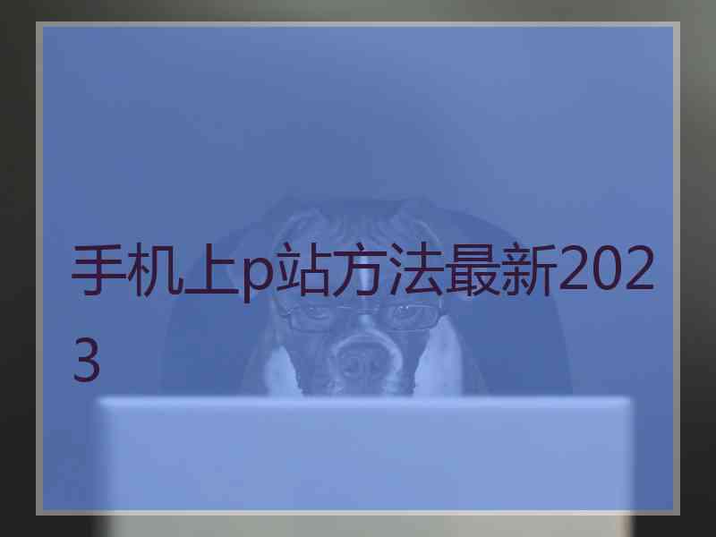 手机上p站方法最新2023