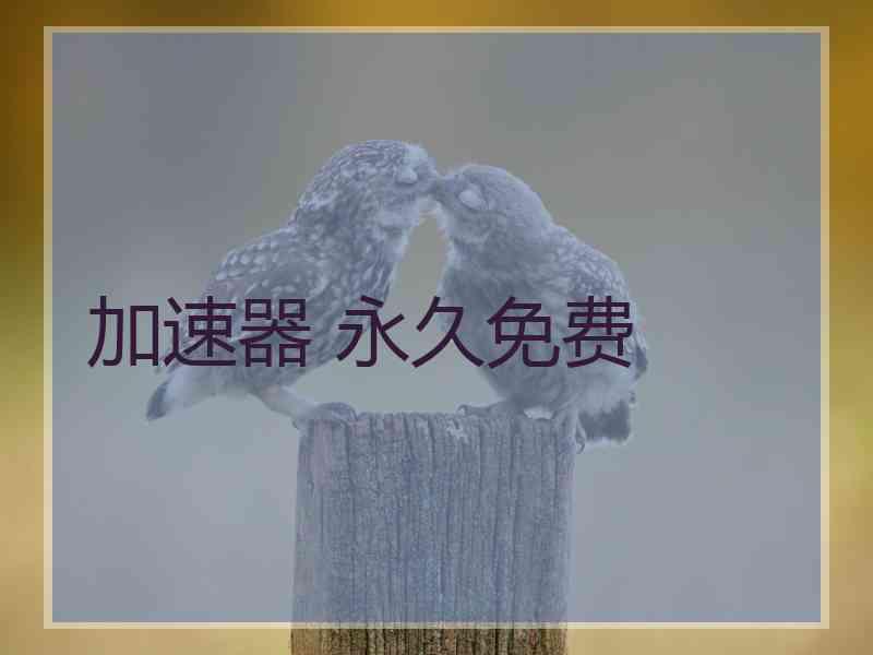 加速器 永久免费