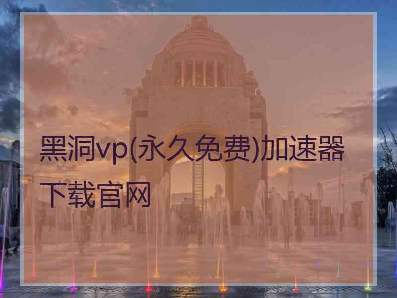 黑洞vp(永久免费)加速器下载官网