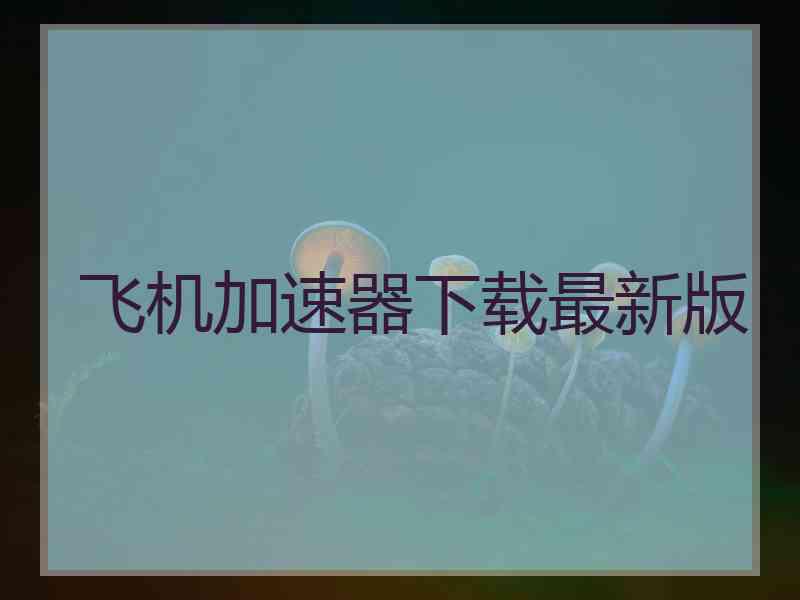 飞机加速器下载最新版