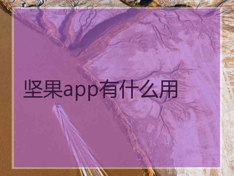 坚果app有什么用