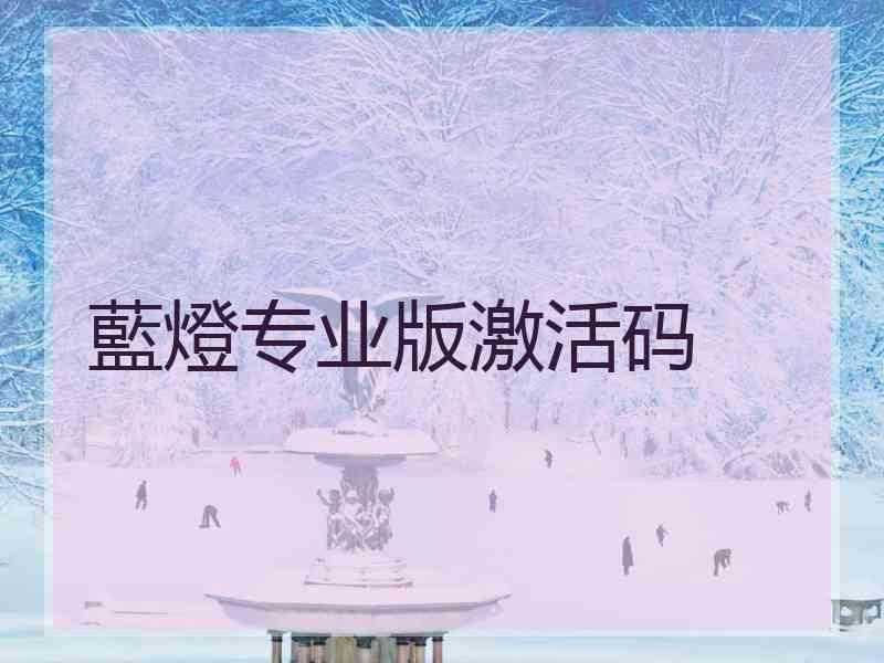 藍燈专业版激活码