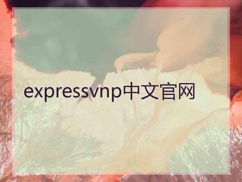 expressvnp中文官网