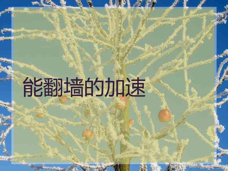 能翻墙的加速