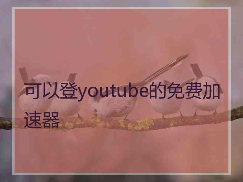 可以登youtube的免费加速器