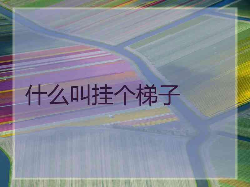 什么叫挂个梯子