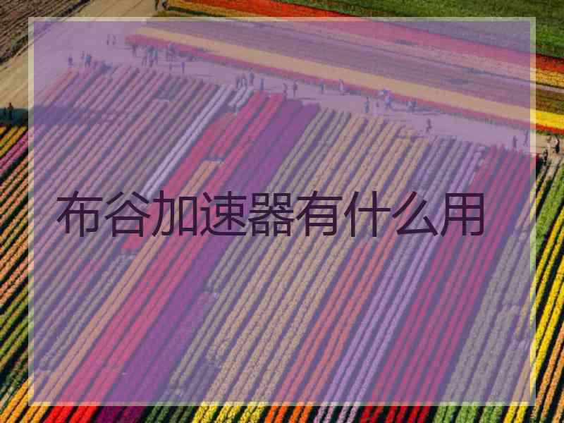 布谷加速器有什么用