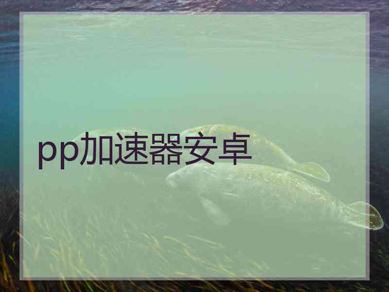 pp加速器安卓