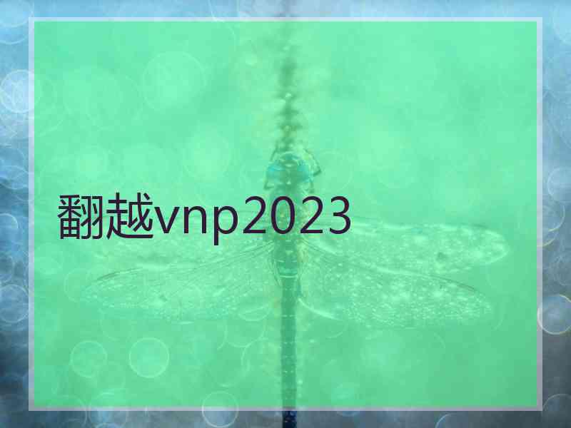 翻越vnp2023