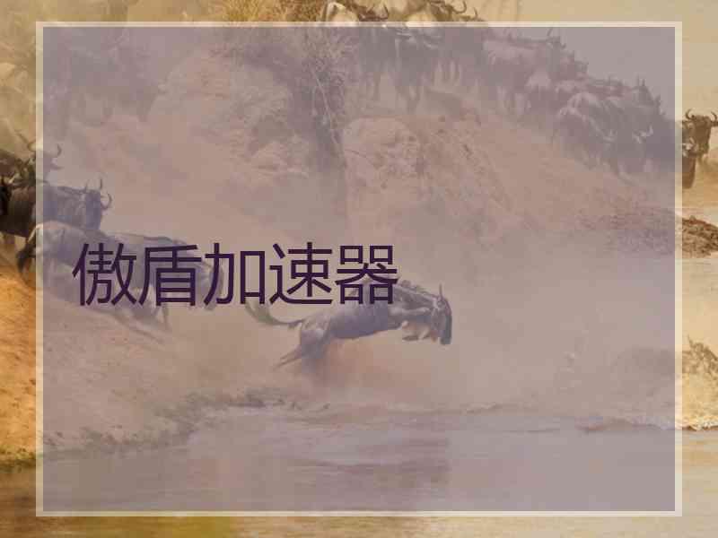傲盾加速器