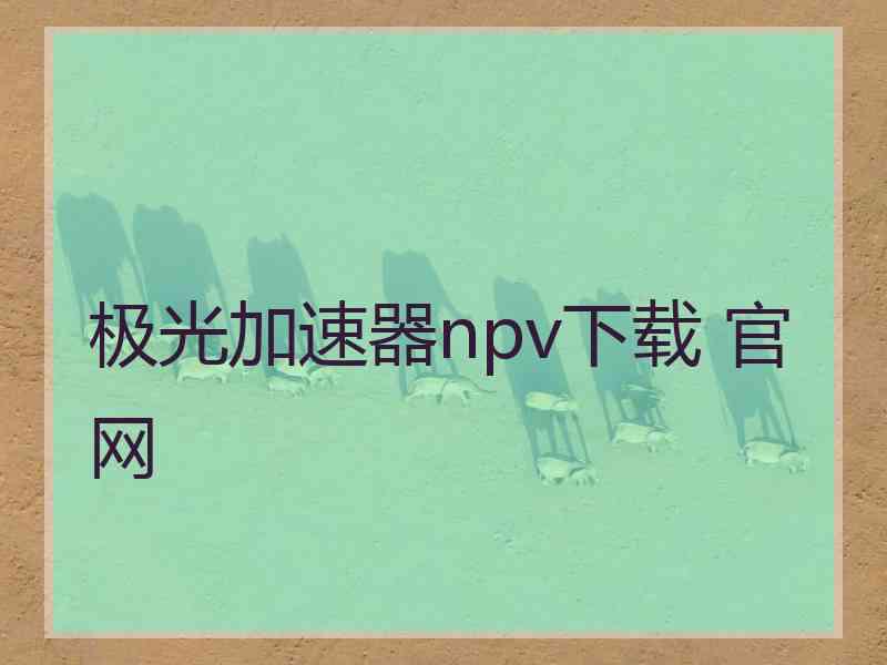 极光加速器npv下载 官网