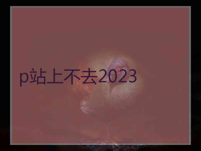 p站上不去2023