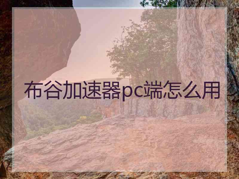 布谷加速器pc端怎么用