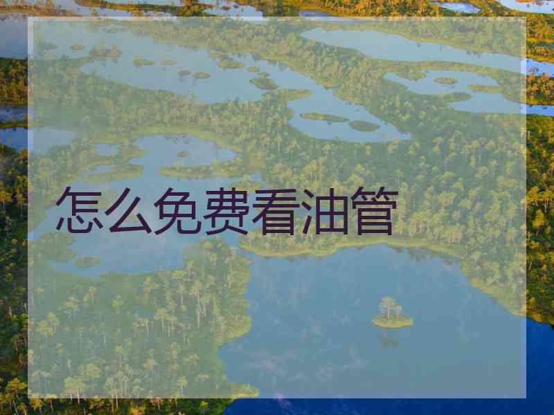 怎么免费看油管