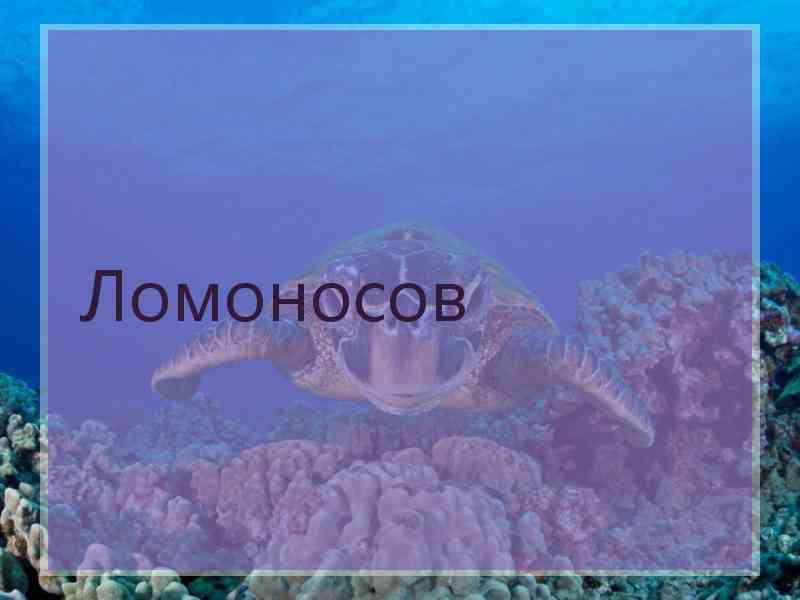 Ломоносов