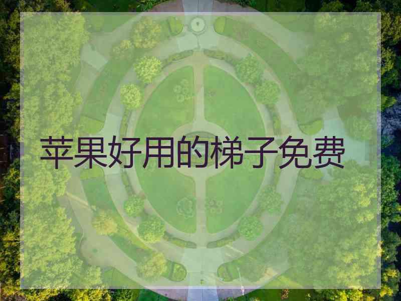 苹果好用的梯子免费