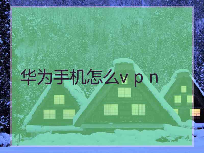 华为手机怎么v p n