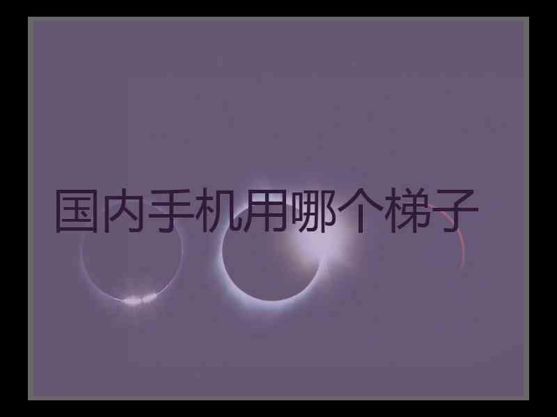 国内手机用哪个梯子