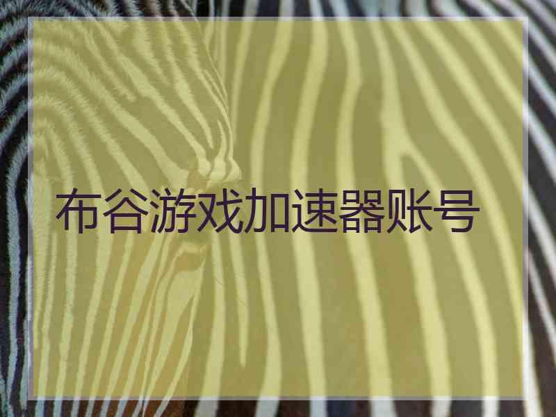 布谷游戏加速器账号