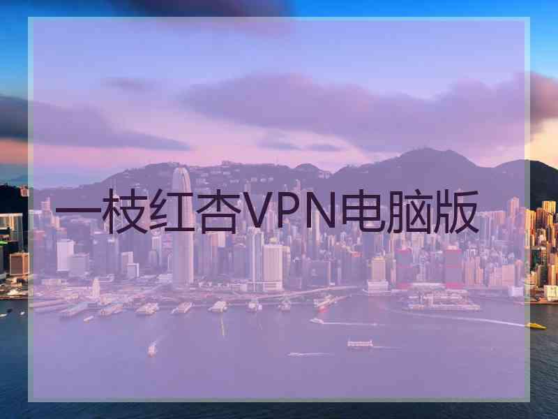 一枝红杏VPN电脑版