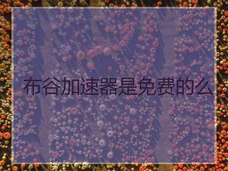 布谷加速器是免费的么