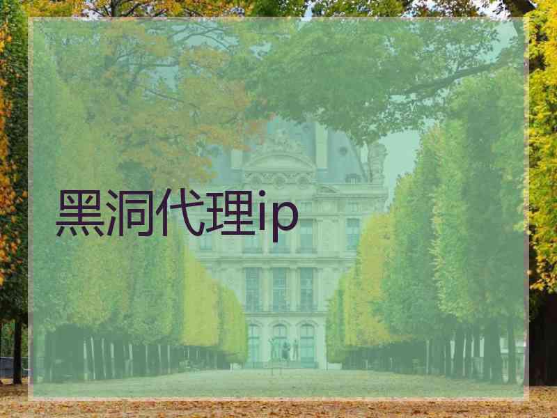 黑洞代理ip