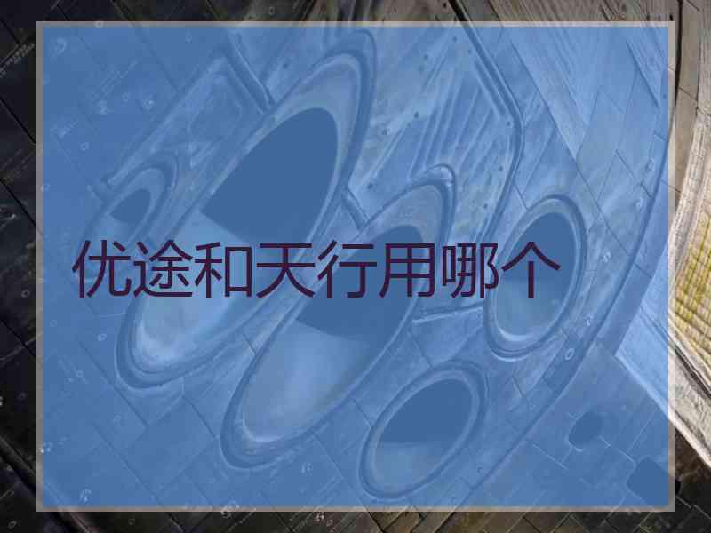 优途和天行用哪个