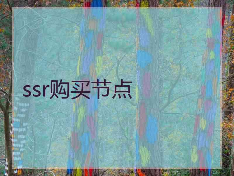 ssr购买节点