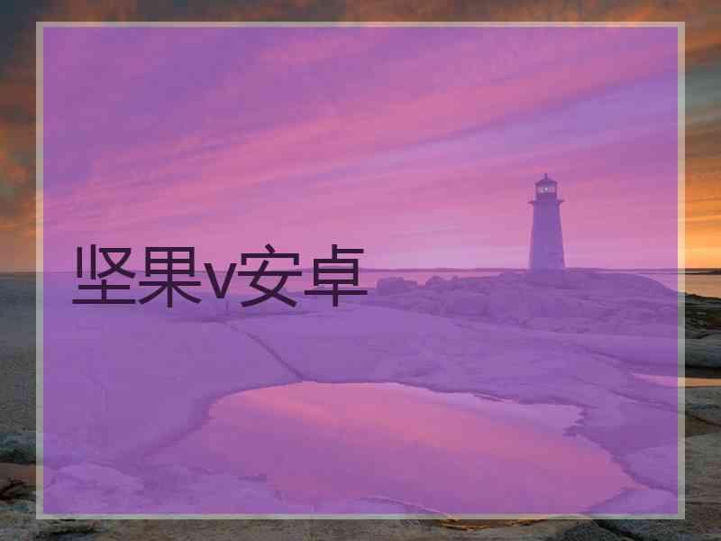 坚果v安卓