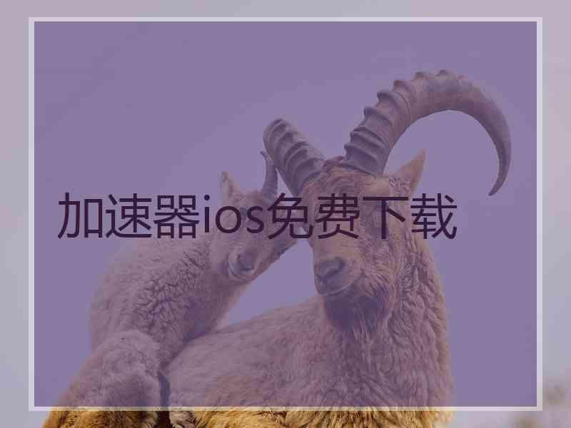 加速器ios免费下载