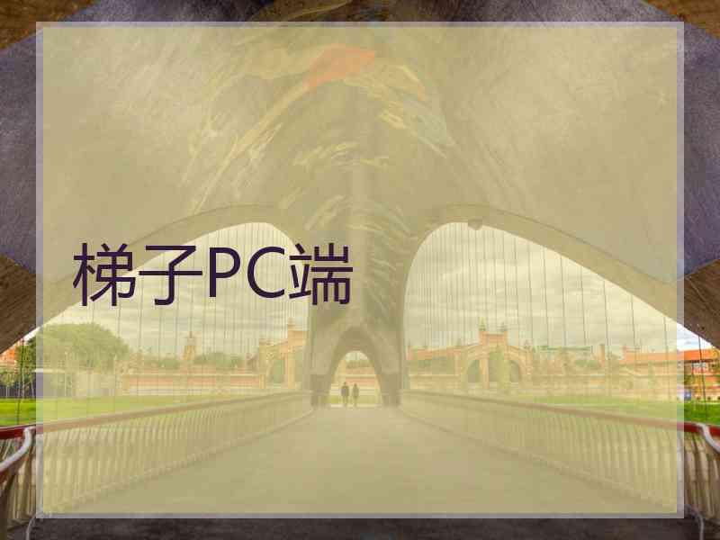 梯子PC端