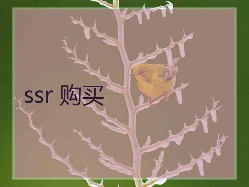 ssr 购买