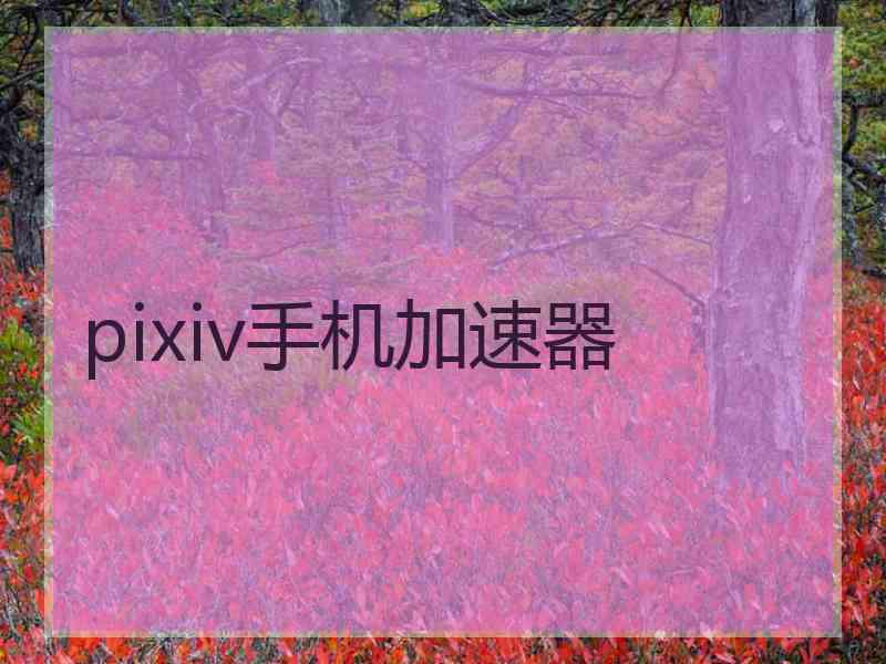 pixiv手机加速器