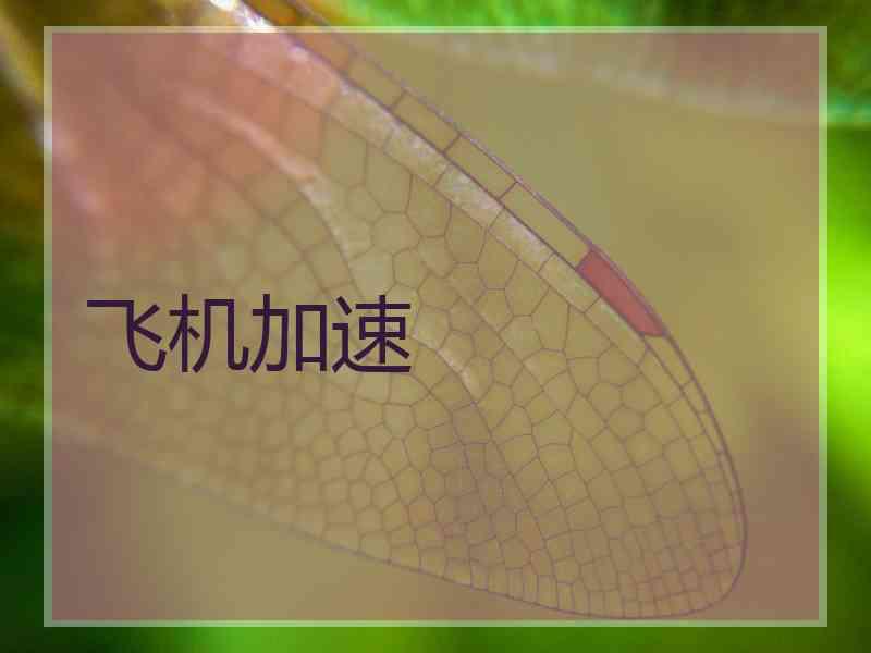 飞机加速