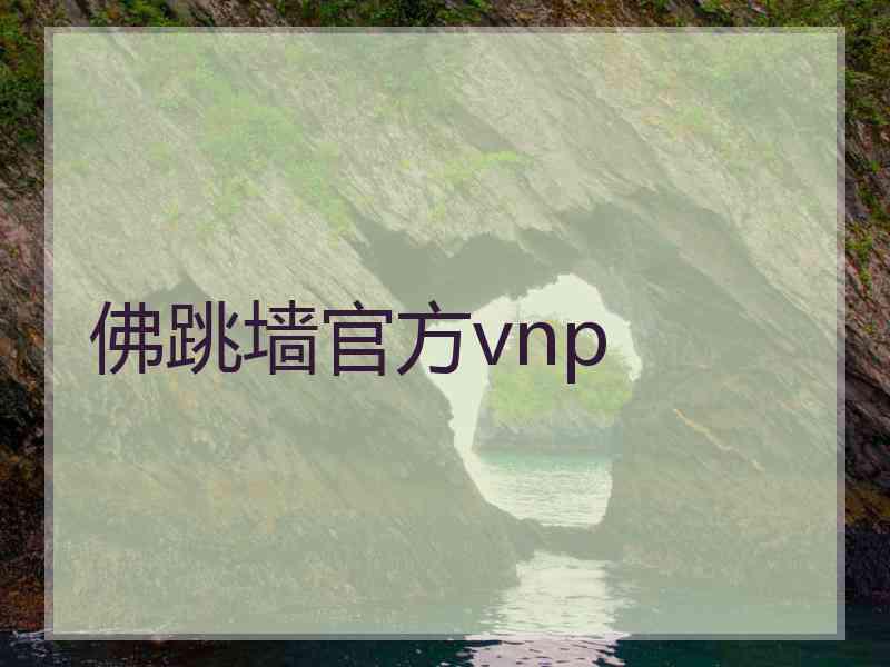 佛跳墙官方vnp