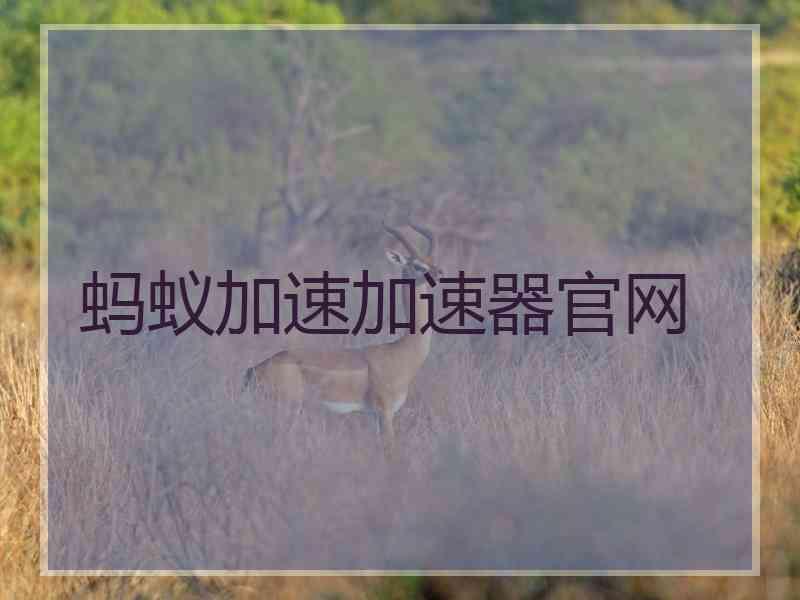 蚂蚁加速加速器官网
