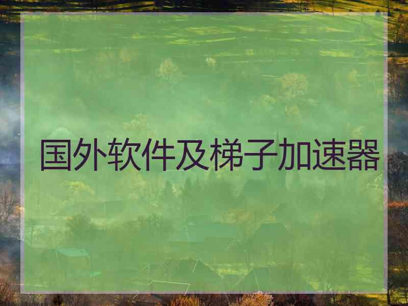 国外软件及梯子加速器