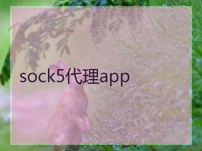 sock5代理app