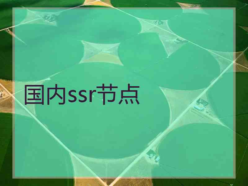 国内ssr节点
