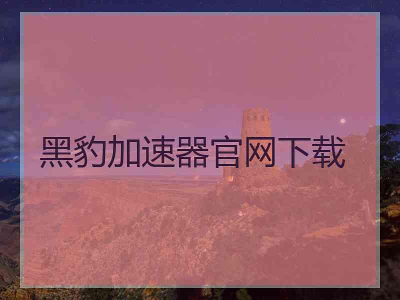 黑豹加速器官网下载