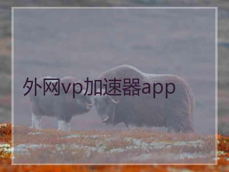 外网vp加速器app