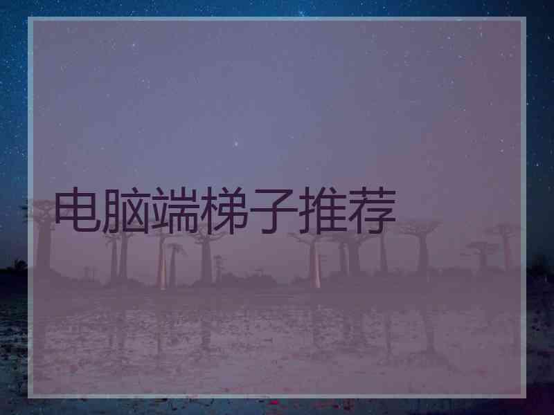 电脑端梯子推荐
