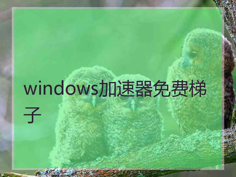 windows加速器免费梯子