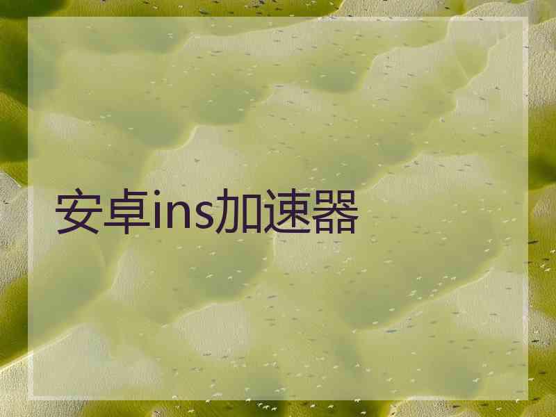 安卓ins加速器