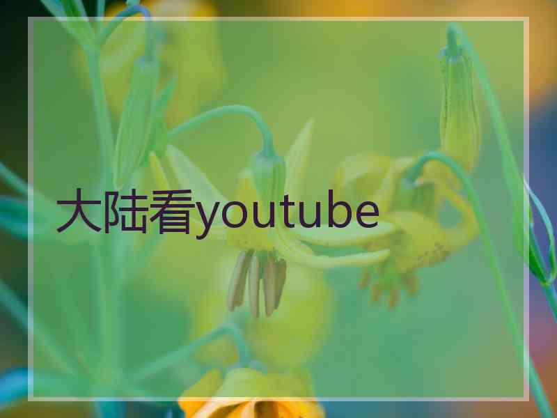 大陆看youtube