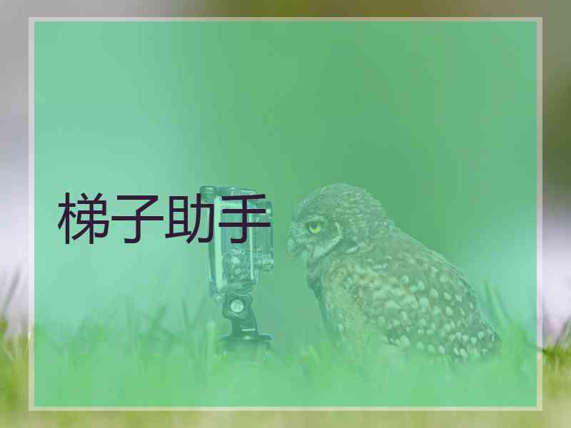 梯子助手