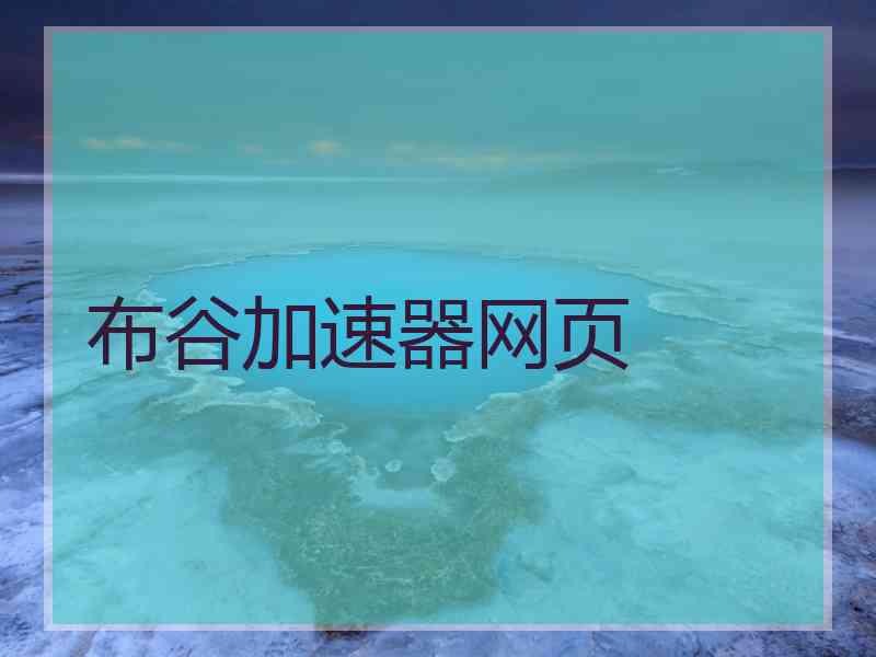 布谷加速器网页
