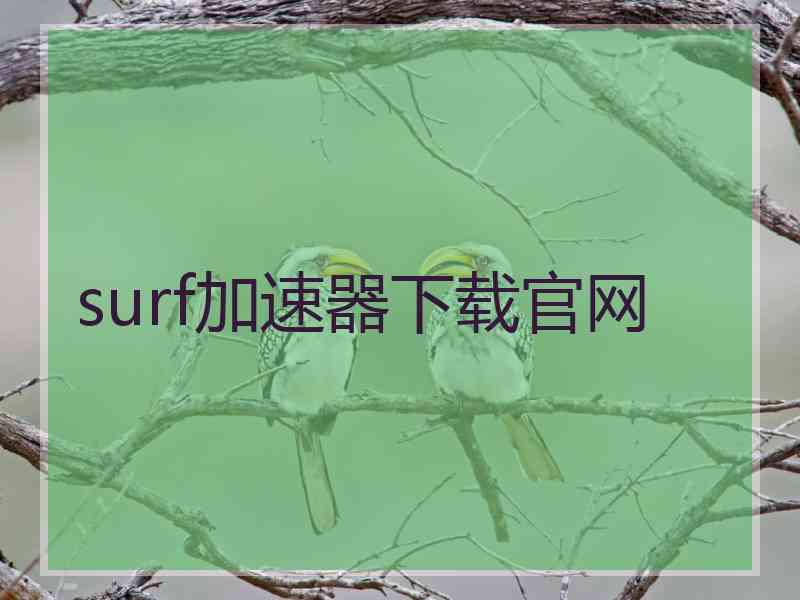 surf加速器下载官网